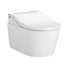 Wall_Hung_Toilet8[1]-2867720-86294.webp